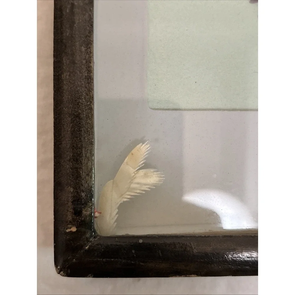 Vintage Chinese Shell Art Birds Flowers Diorama Shadow Box Pearl Brand